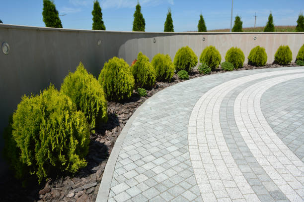 Best Cobblestone Driveway Pavers  in Balcones Heights, TX