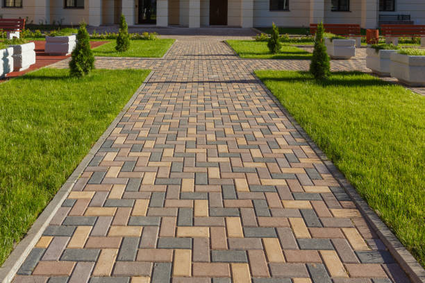 Best Local Driveway Pavers  in Balcones Heights, TX